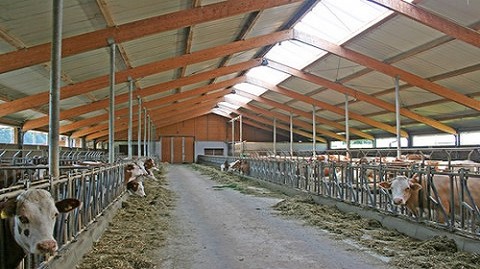 caméra ferme